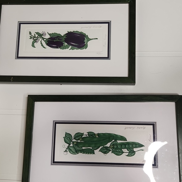 Framed Botanical Art Prints Signed By Barbie Tidwell Numbered 181/1200